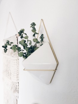 Wall Plant Hanging.